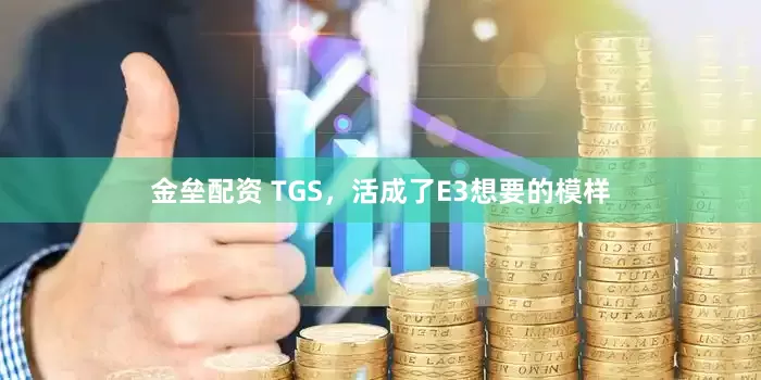金垒配资 TGS，活成了E3想要的模样